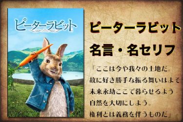 映画『ピーターラビット』(2018)の名言・名セリフ10選一覧まとめ【かっこいい兎たちの言葉を英語翻訳】